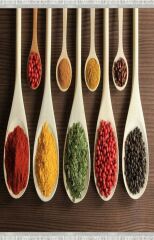 Homier Verona Quality Leather Base Washable Non-Slip Kitchen Carpet and Floor Mat H-MK-9007A